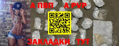 амф Гусев