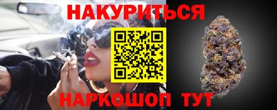 амф Гусев