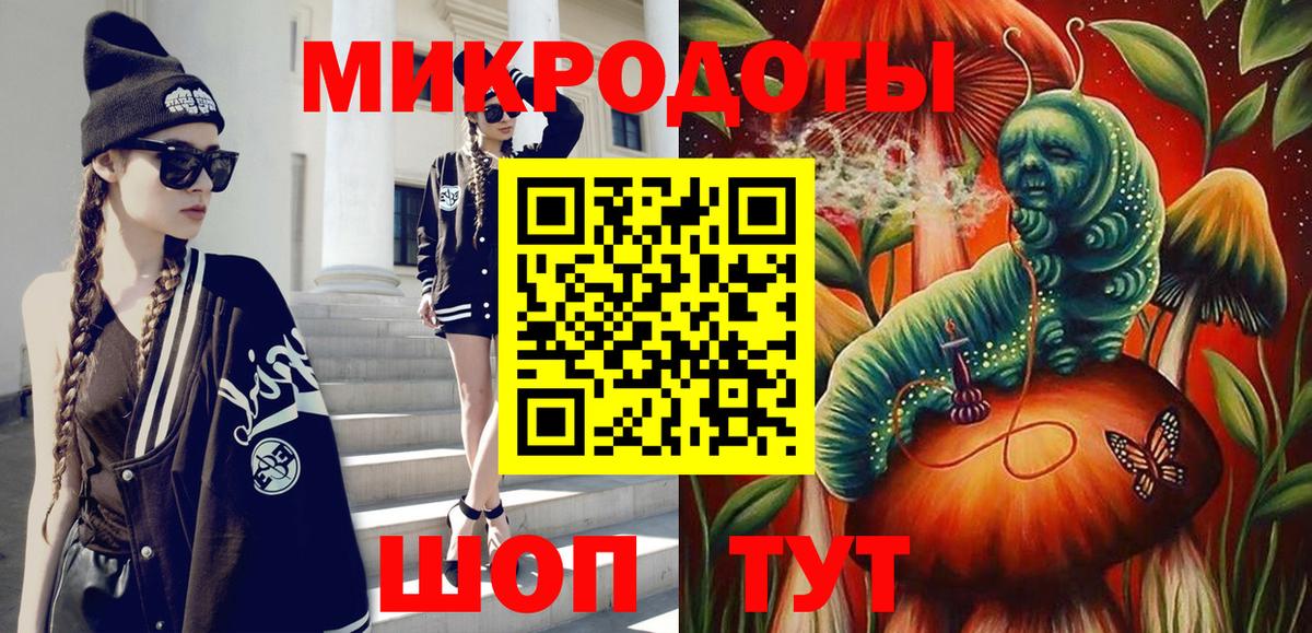 Галлюциногенные грибы Psilocybe Михайловск